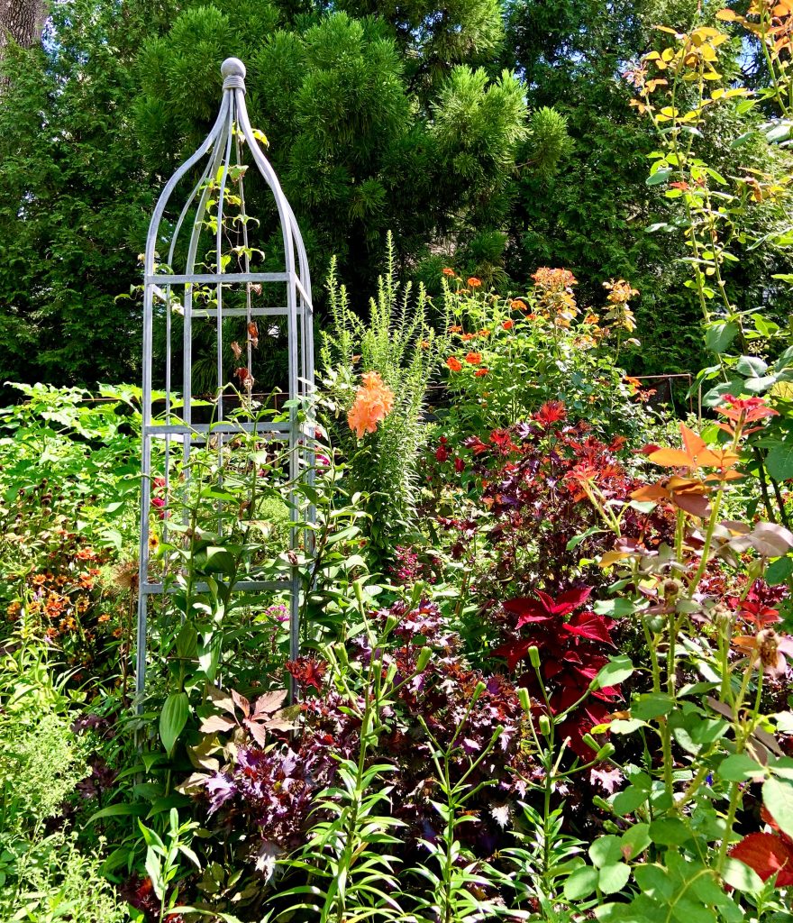 This sumptuous garden contains rare plants from all over the world. The owners planted seeds and raised many specimens from cuttings taken from their homes in Maine and the Virgin Islands.